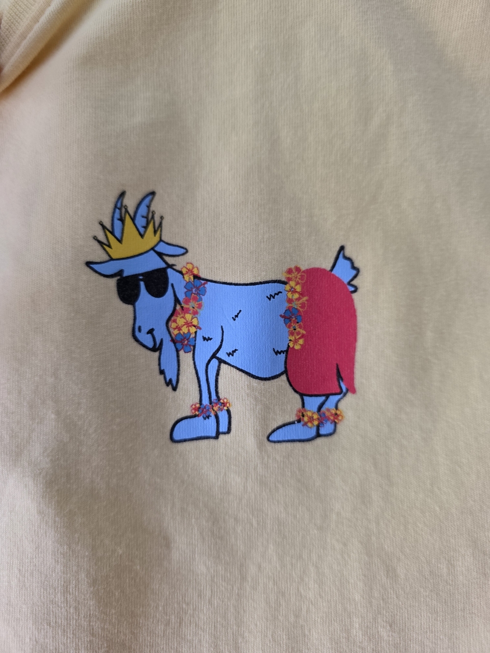 Goat USA yellow rainbow graphic tee - Size M